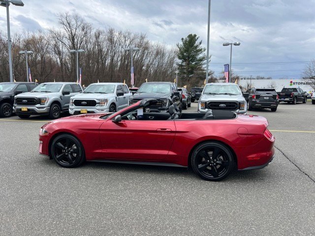 Certified 2023 Ford Mustang Premium w/ Equipment Group 201A RWD image 3