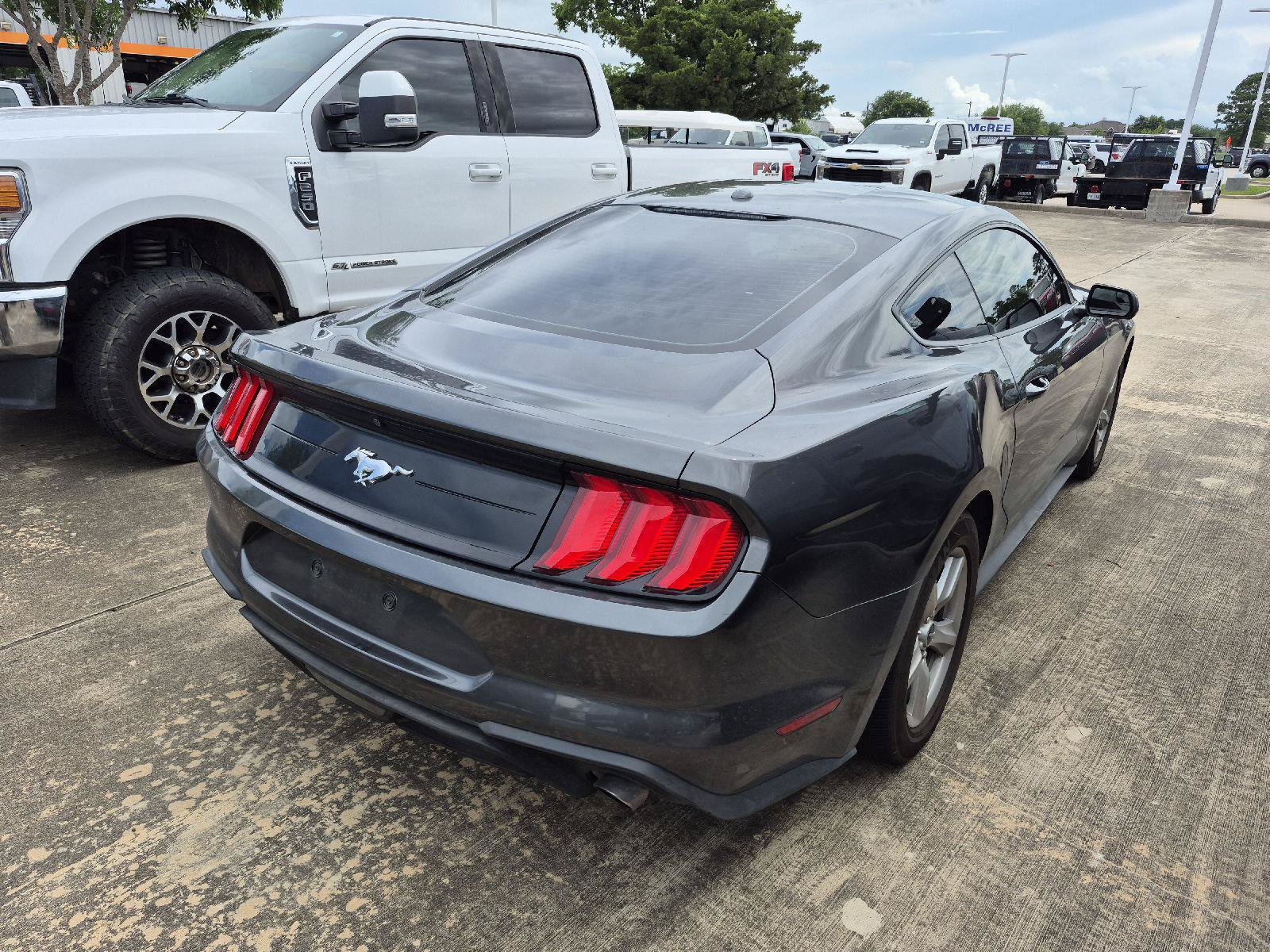 Certified 2019 Ford Mustang Coupe RWD image 3