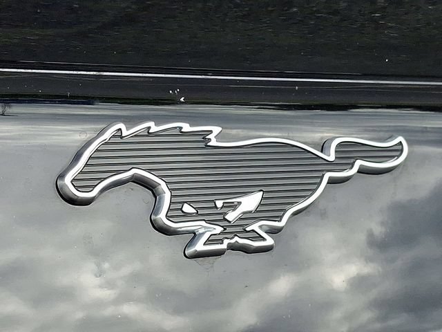 Certified 2025 Ford Mustang Mach-E Select w/ Comfort Package Lite AWD/4WD image 30