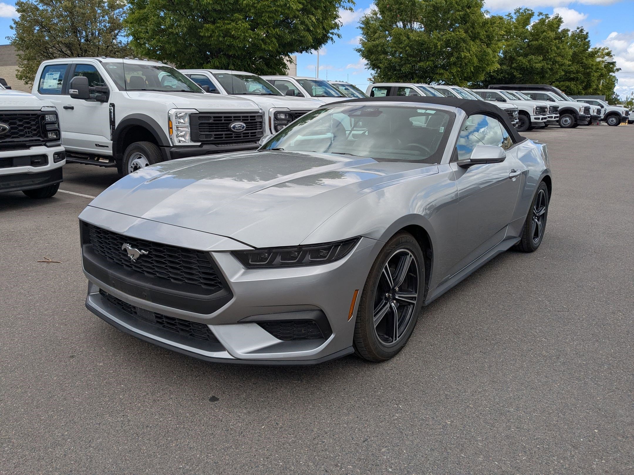 Certified 2025 Ford Mustang Premium RWD image 12