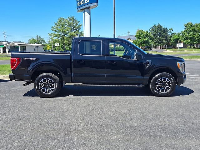 Certified 2023 Ford F150 XLT w/ Equipment Group 302A High AWD/4WD image 7