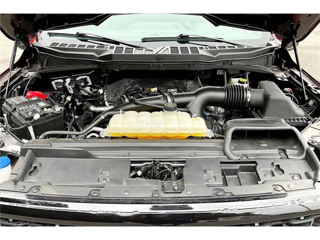 Certified 2025 Ford F150 STX w/ STX Black Appearance Package RWD image 33