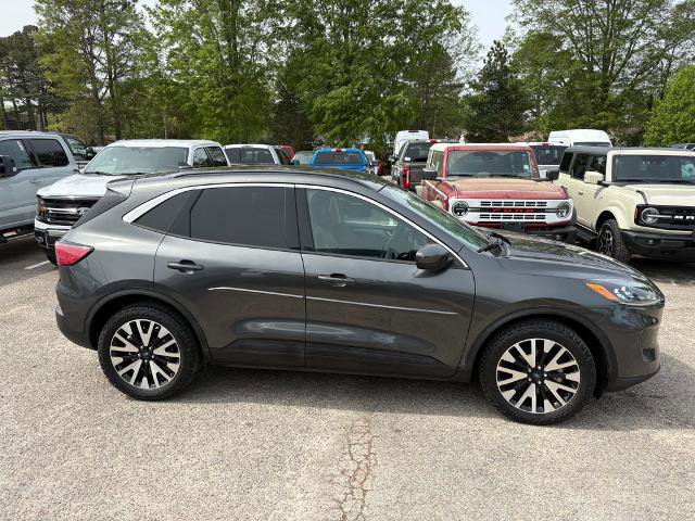 Certified 2020 Ford Escape SEL image 6