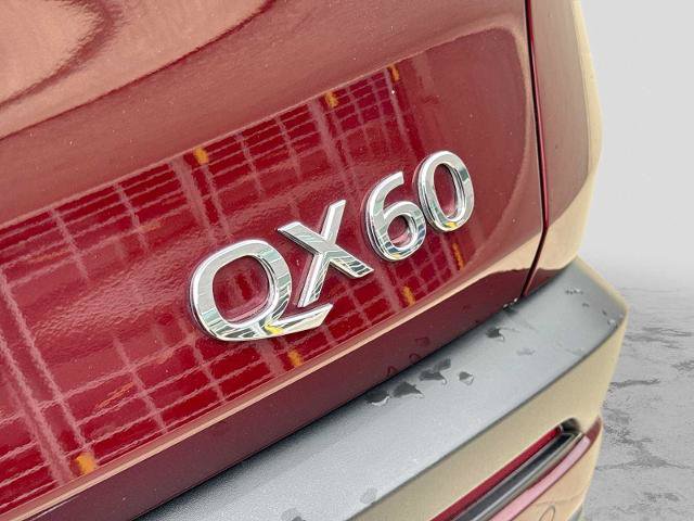Used 2023 INFINITI QX60 Autograph AWD/4WD image 12