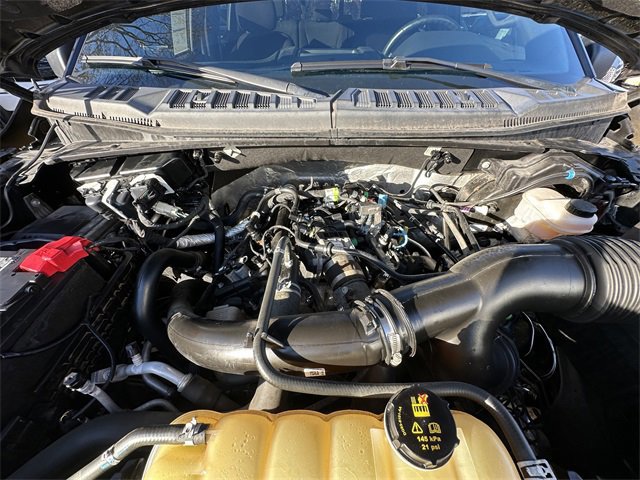 Certified 2019 Ford F150 XLT w/ Equipment Group 302A Luxury image 32