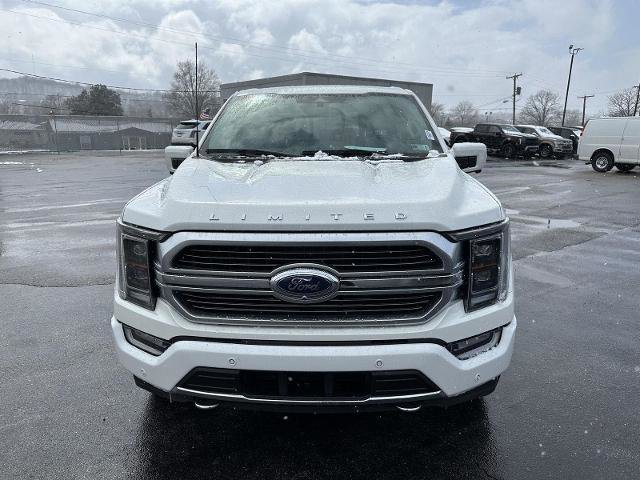 Certified 2023 Ford F150 Limited image 8