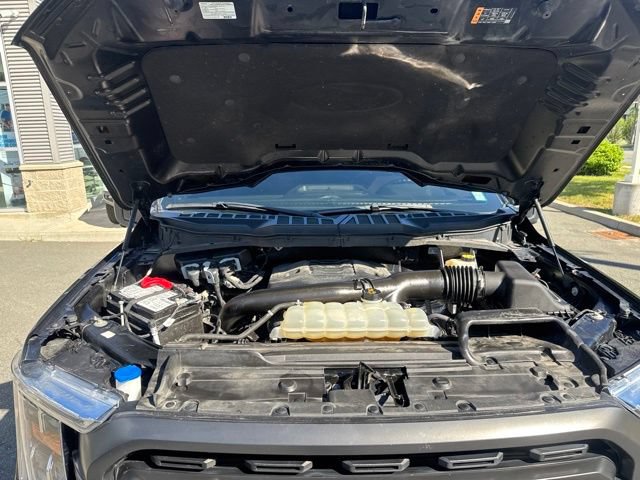 Certified 2023 Ford F150 XLT w/ Equipment Group 302A High AWD/4WD image 19