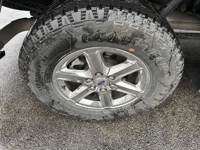 Certified 2025 Ford F150 XLT w/ Equipment Group 301A Standard image 10