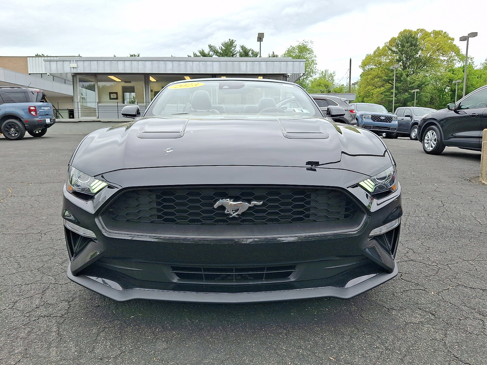 Certified 2023 Ford Mustang Premium RWD image 8