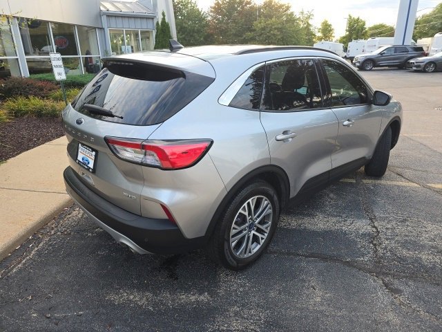 Certified 2022 Ford Escape SEL image 6