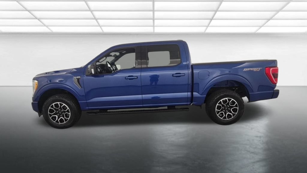 Certified 2023 Ford F150 XLT w/ Equipment Group 302A High AWD/4WD image 6