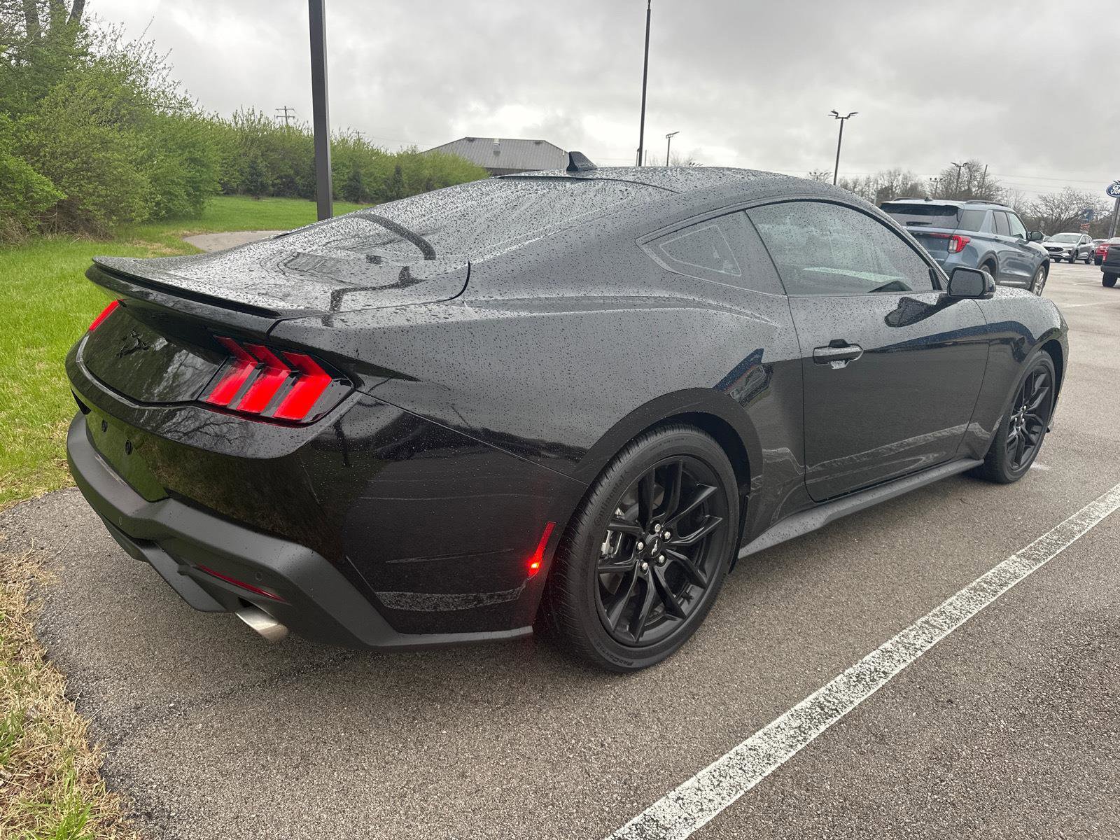 Certified 2024 Ford Mustang Premium image 2