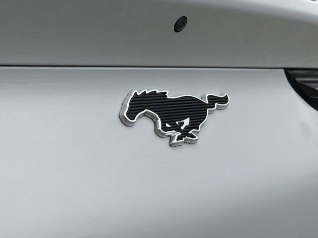 Certified 2021 Ford Mustang Mach-E Premium RWD image 9