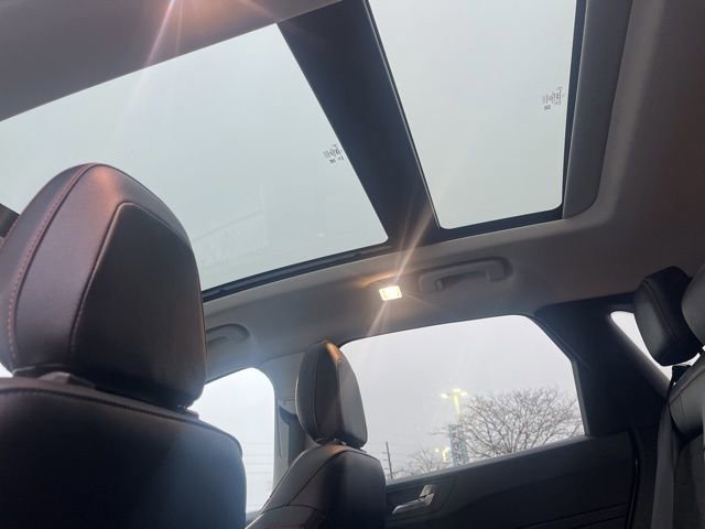 Certified 2022 Ford Escape SEL w/ SEL Stealth AWD Package image 20