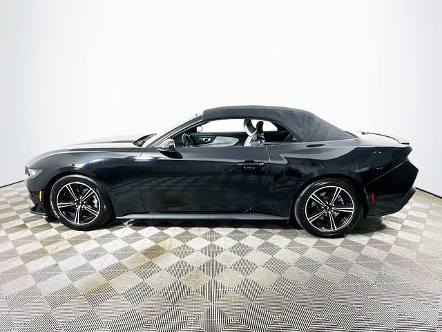 Certified 2024 Ford Mustang Premium image 6