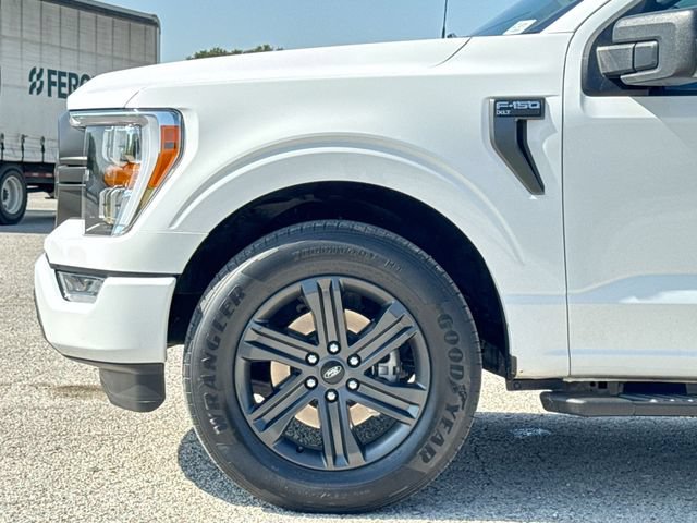 Certified 2023 Ford F150 XLT w/ Equipment Group 302A High RWD image 10