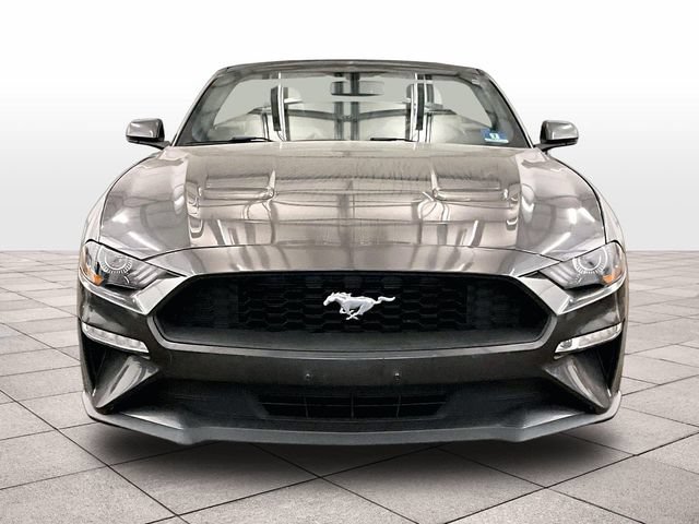 Certified 2018 Ford Mustang Premium w/ Equipment Group 201A RWD image 3