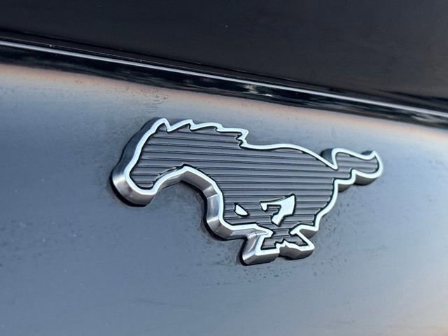 Certified 2024 Ford Mustang Mach-E Premium image 20