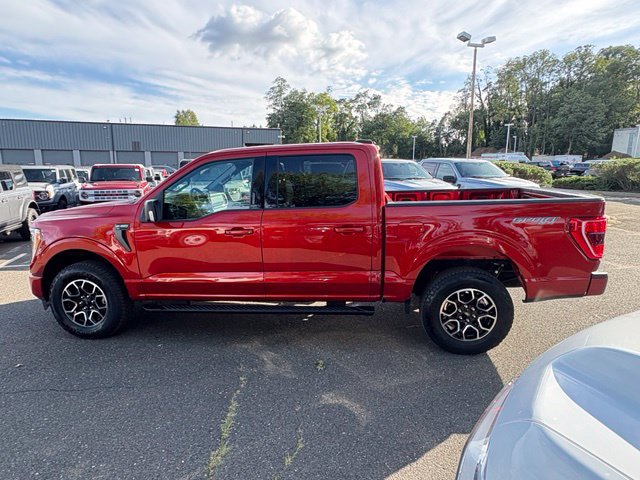 Certified 2023 Ford F150 XLT w/ Equipment Group 302A High AWD/4WD image 3