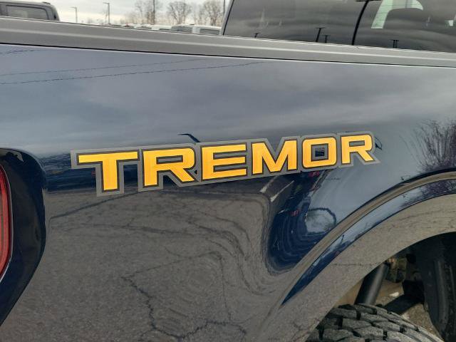 Certified 2023 Ford F150 Tremor image 8