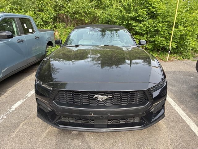 Certified 2024 Ford Mustang Premium RWD image 2