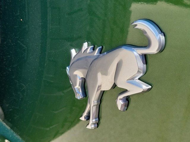 Certified 2022 Ford Bronco Outer Banks image 11