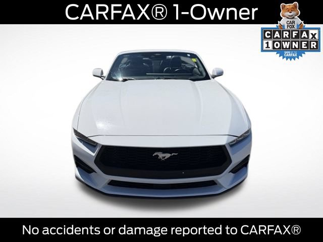Certified 2025 Ford Mustang Premium RWD image 2