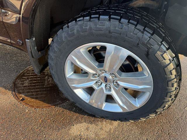 Certified 2020 Ford F150 Platinum w/ Equipment Group 701A Luxury image 15