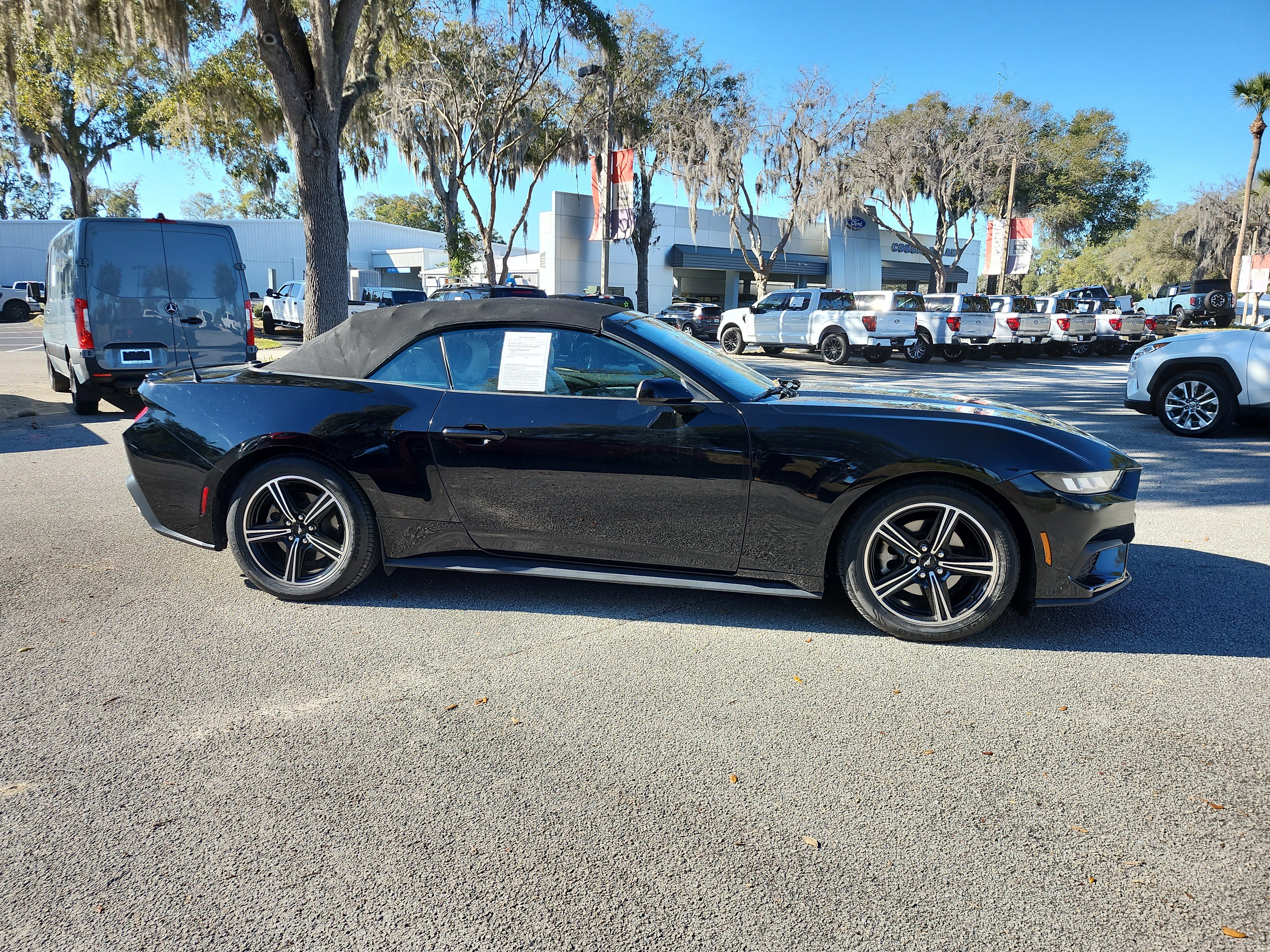 Certified 2024 Ford Mustang Premium image 6