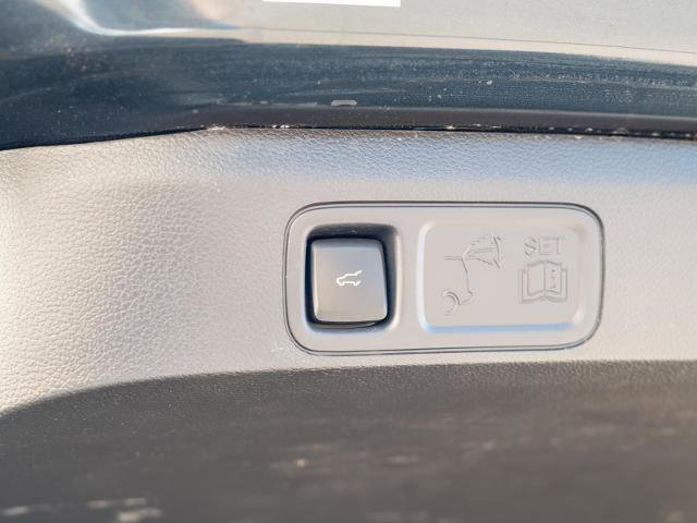 Certified 2024 Ford Expedition Limited image 14