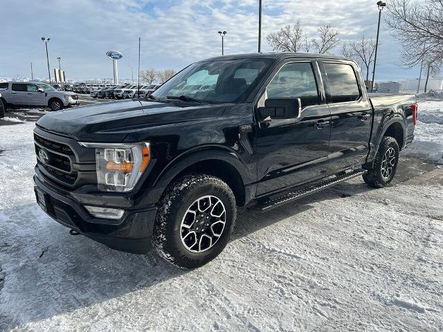 Certified 2023 Ford F150 XLT w/ Equipment Group 302A High image 4
