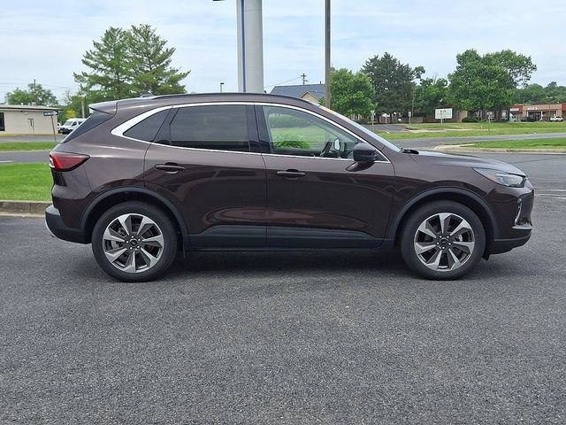 Certified 2023 Ford Escape Platinum w/ Class II Trailer Tow Package AWD/4WD image 7