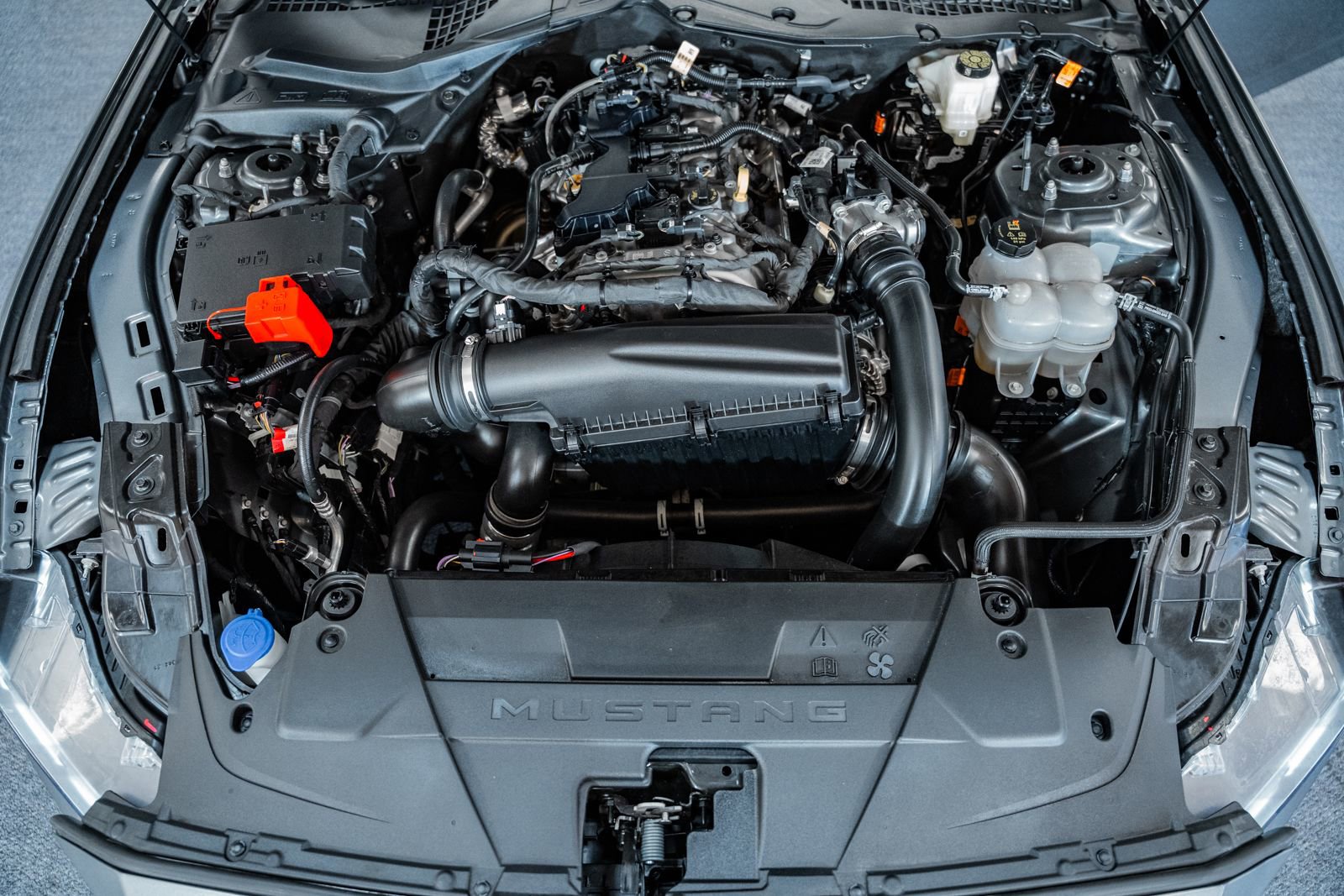 Certified 2025 Ford Mustang Coupe image 21