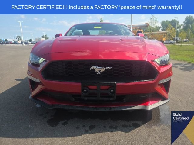 Certified 2023 Ford Mustang Coupe w/ Equipment Group 101A RWD image 4