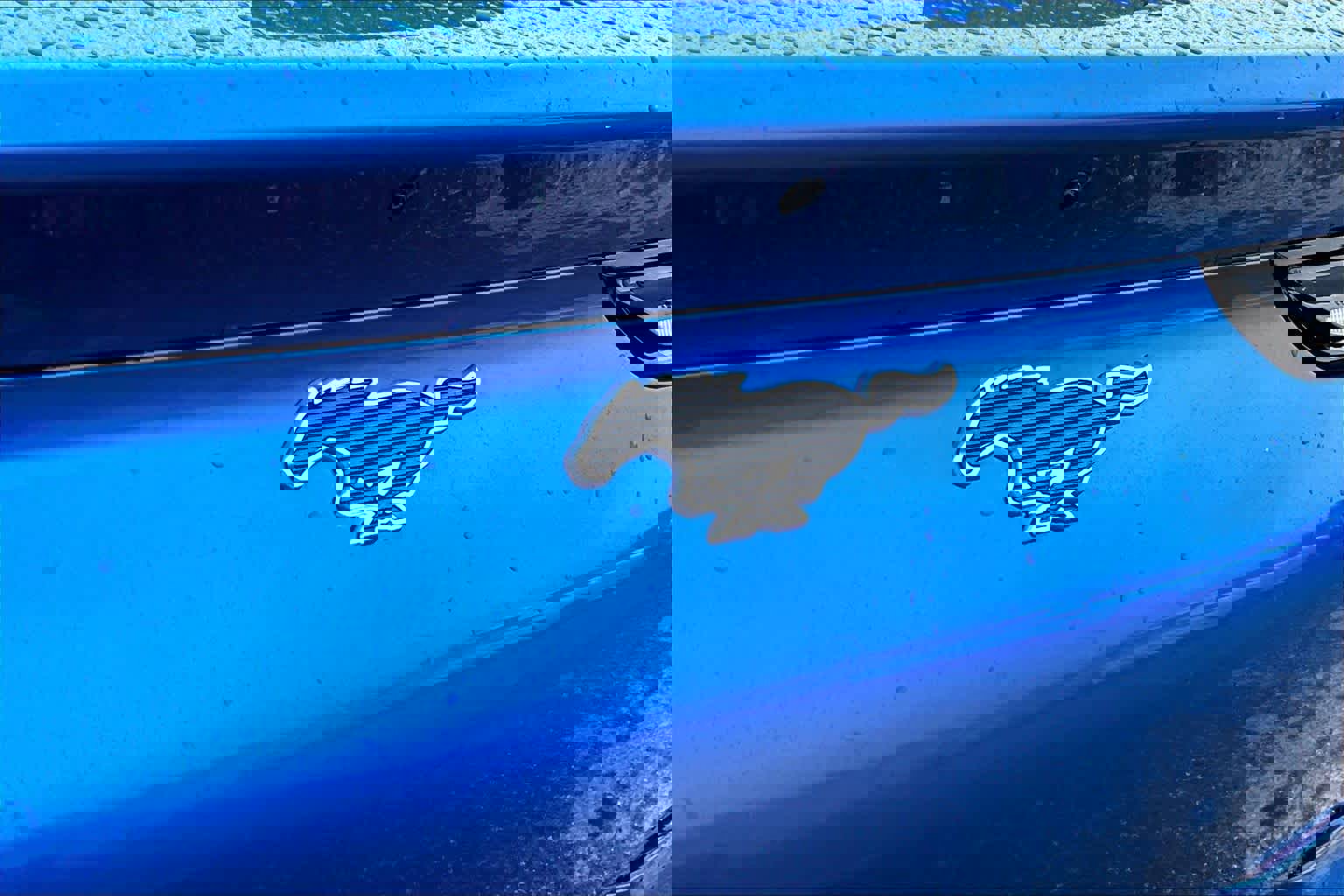 Certified 2025 Ford Mustang Mach-E Select w/ Interior Protection Package image 32