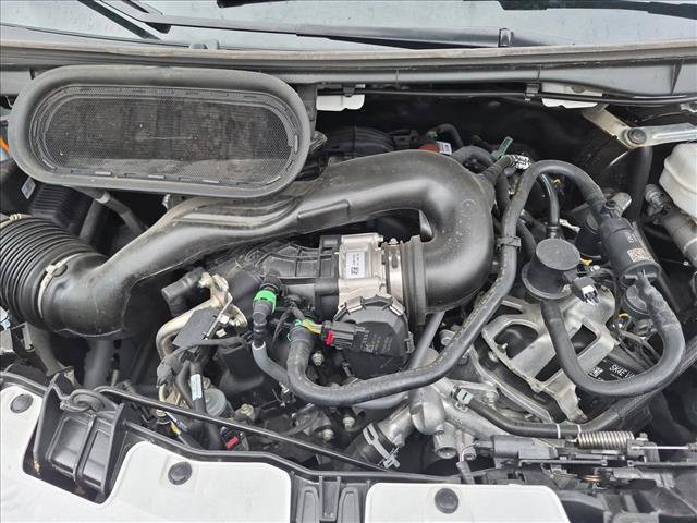 Certified 2025 Ford Transit 250 Low Roof w/ Exterior Upgrade Package RWD image 18