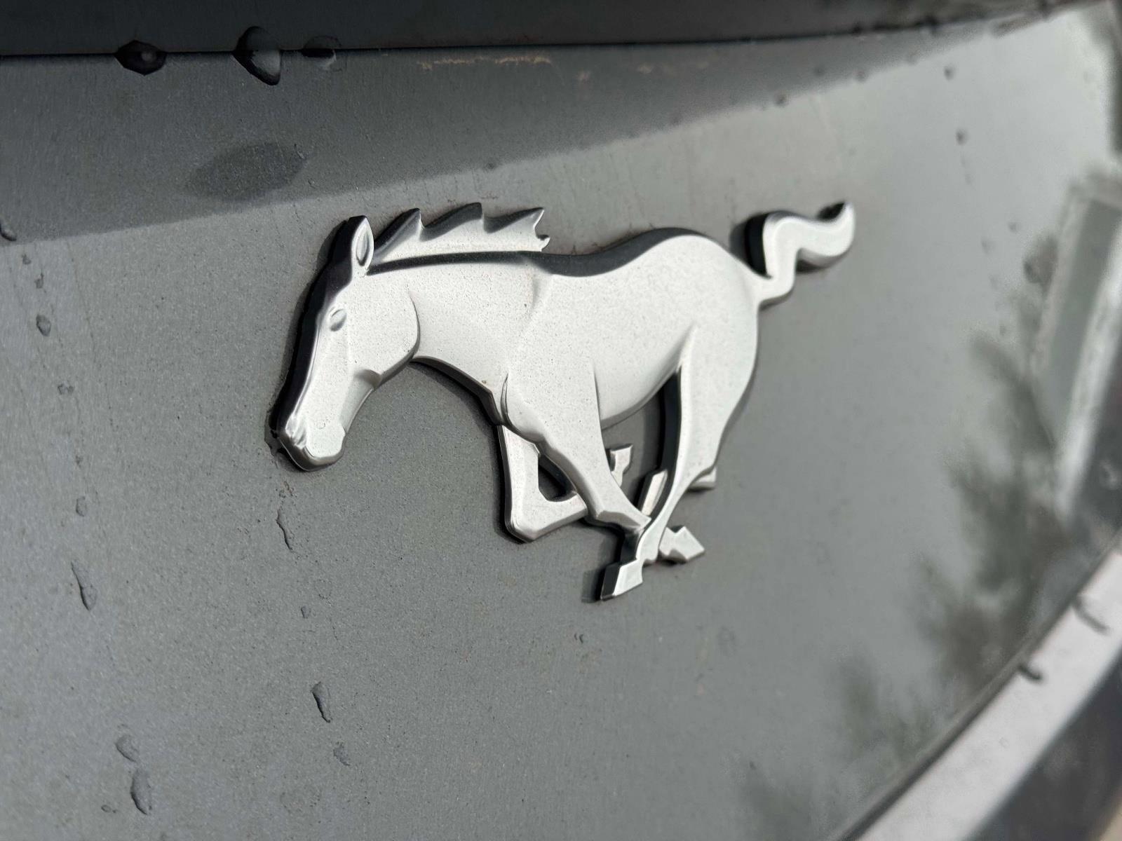 Certified 2025 Ford Mustang Premium image 11