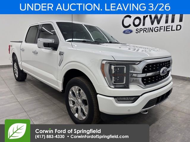 Certified 2022 Ford F150 Platinum image 7