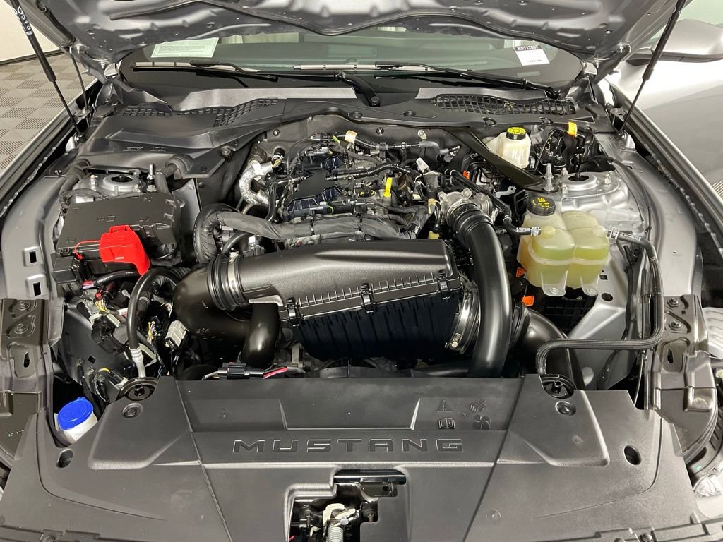 Certified 2024 Ford Mustang Premium RWD image 11