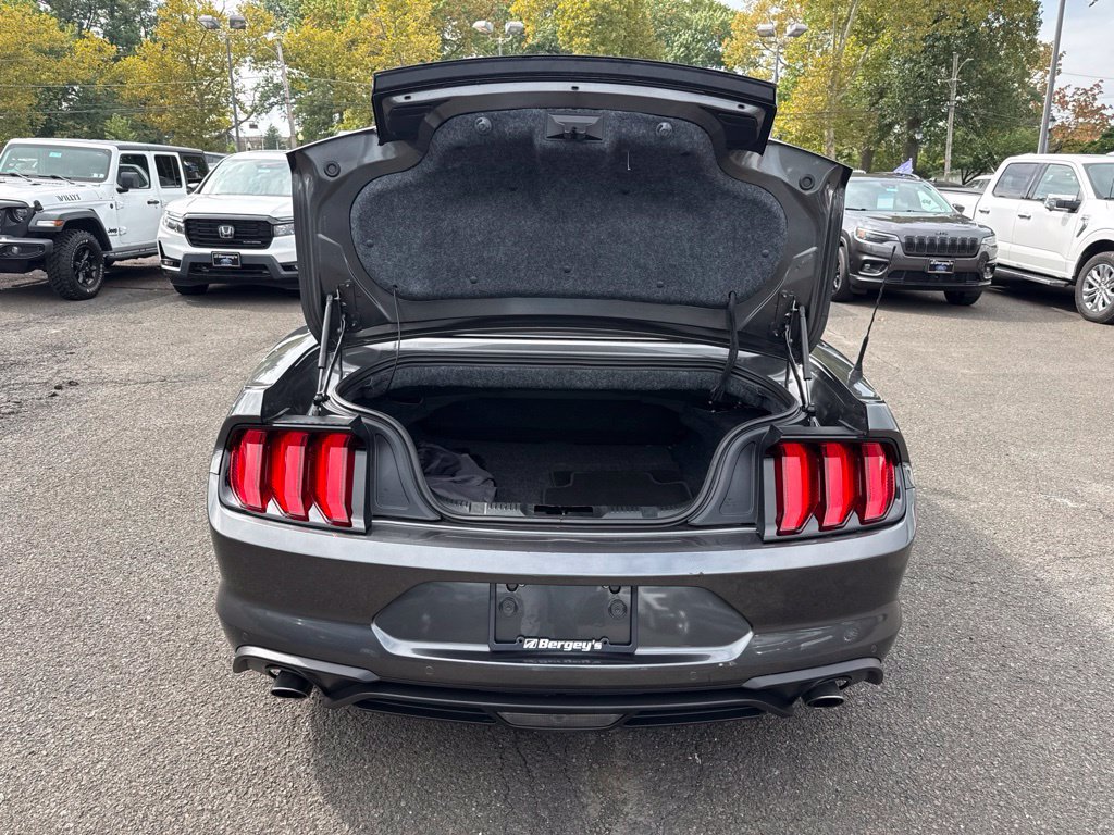 Certified 2019 Ford Mustang Premium w/ Equipment Group 201A RWD image 10