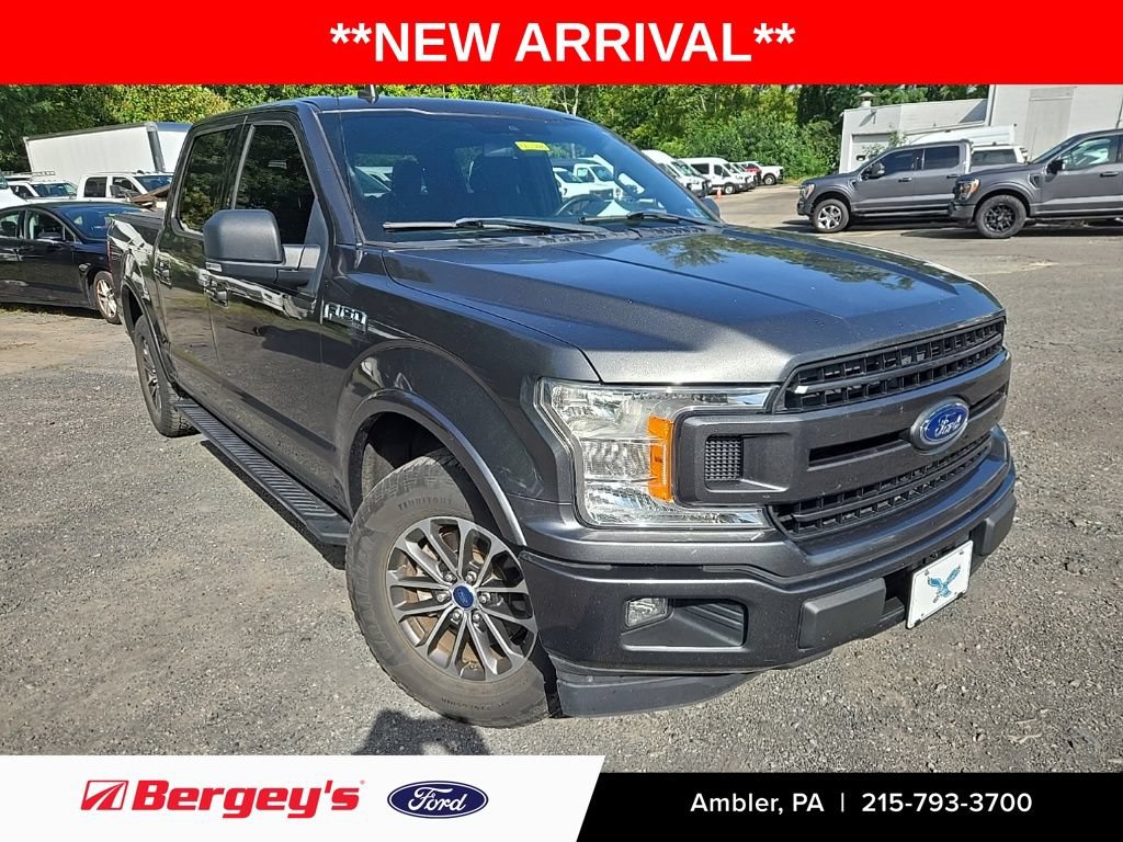 Certified 2019 Ford F150 XLT w/ Equipment Group 302A Luxury RWD image 1