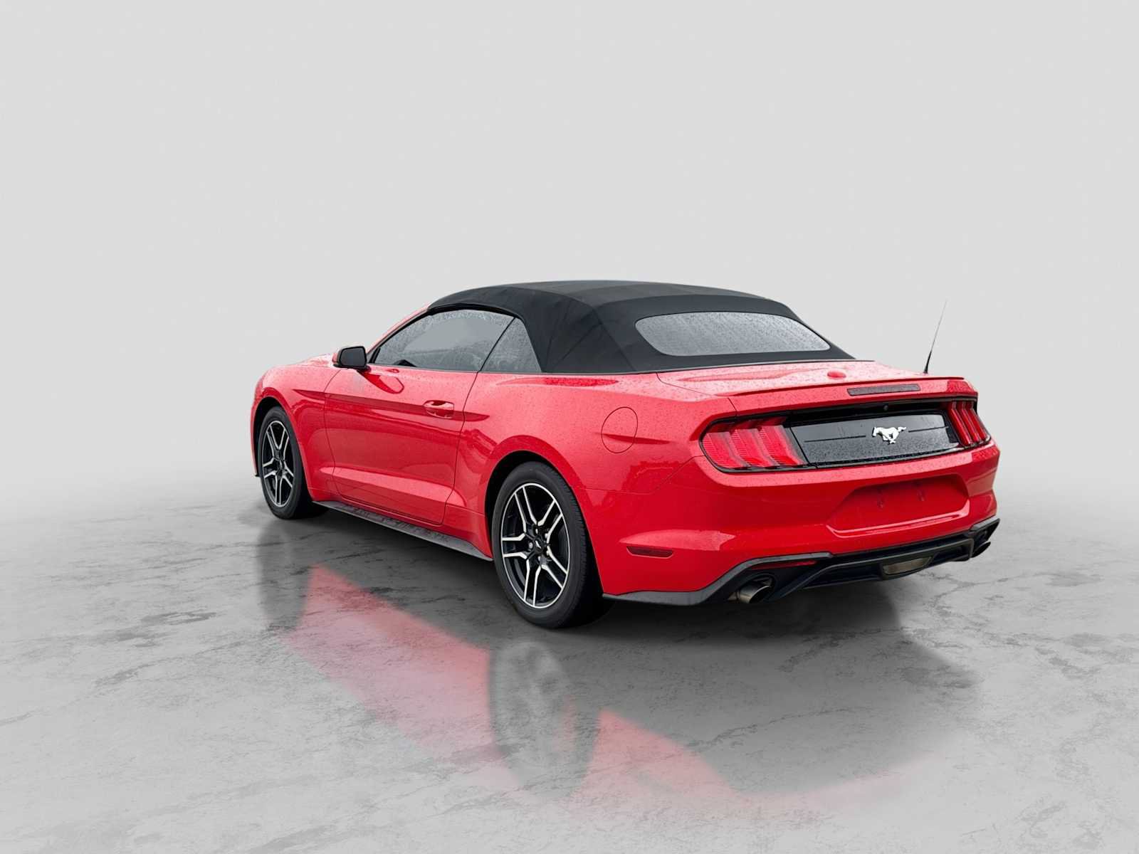 Certified 2019 Ford Mustang Premium w/ Equipment Group 201A RWD image 4