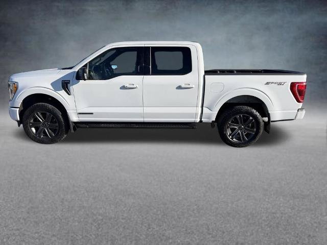 Certified 2023 Ford F150 XLT w/ Equipment Group 302A High AWD/4WD image 2