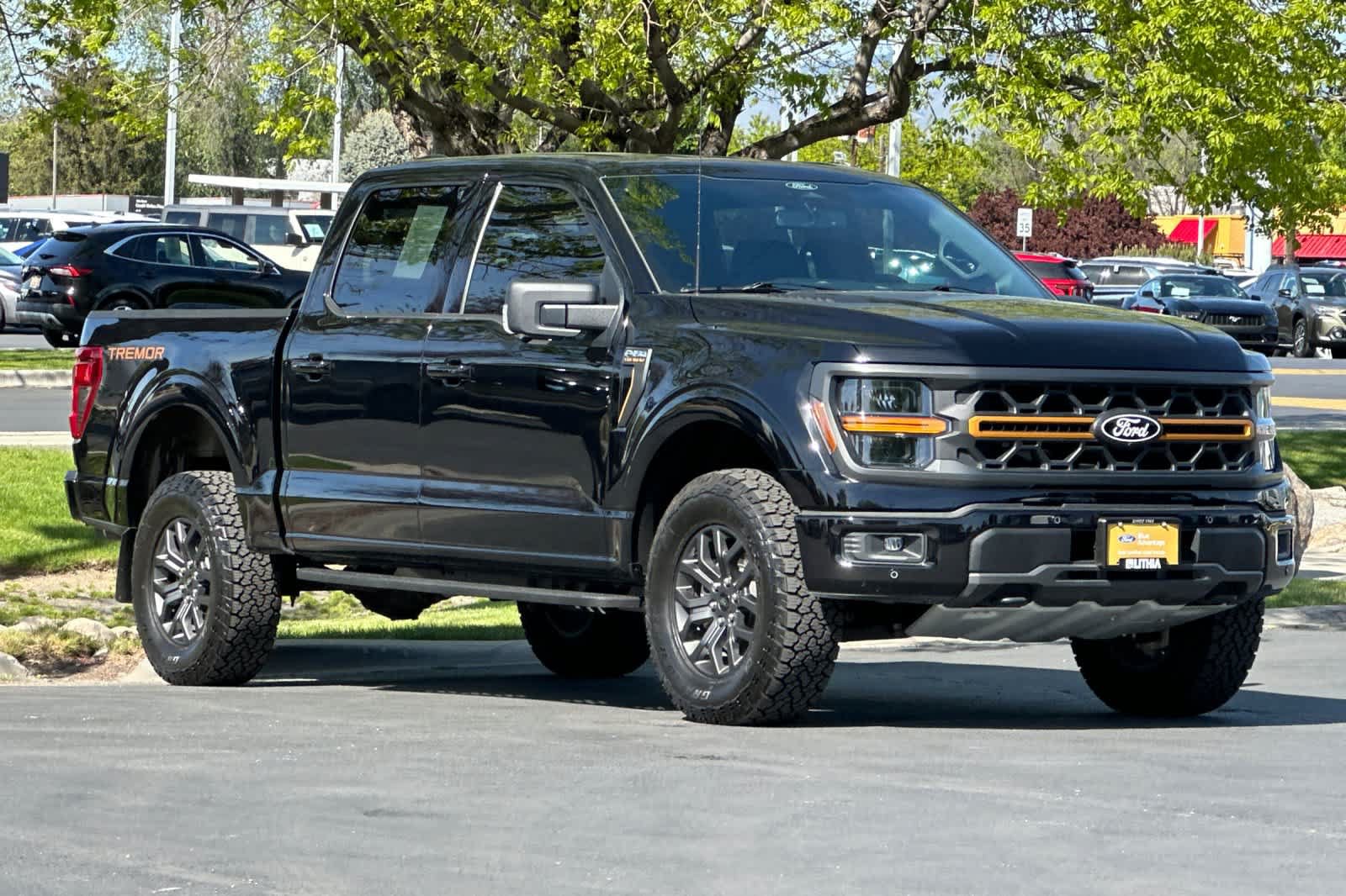 Certified 2025 Ford F150 Tremor w/ Bed Utility Package AWD/4WD image 9