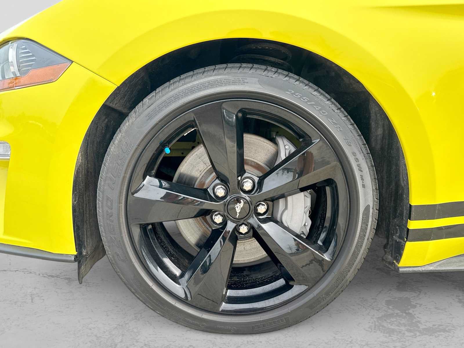 Certified 2021 Ford Mustang GT Premium RWD image 13