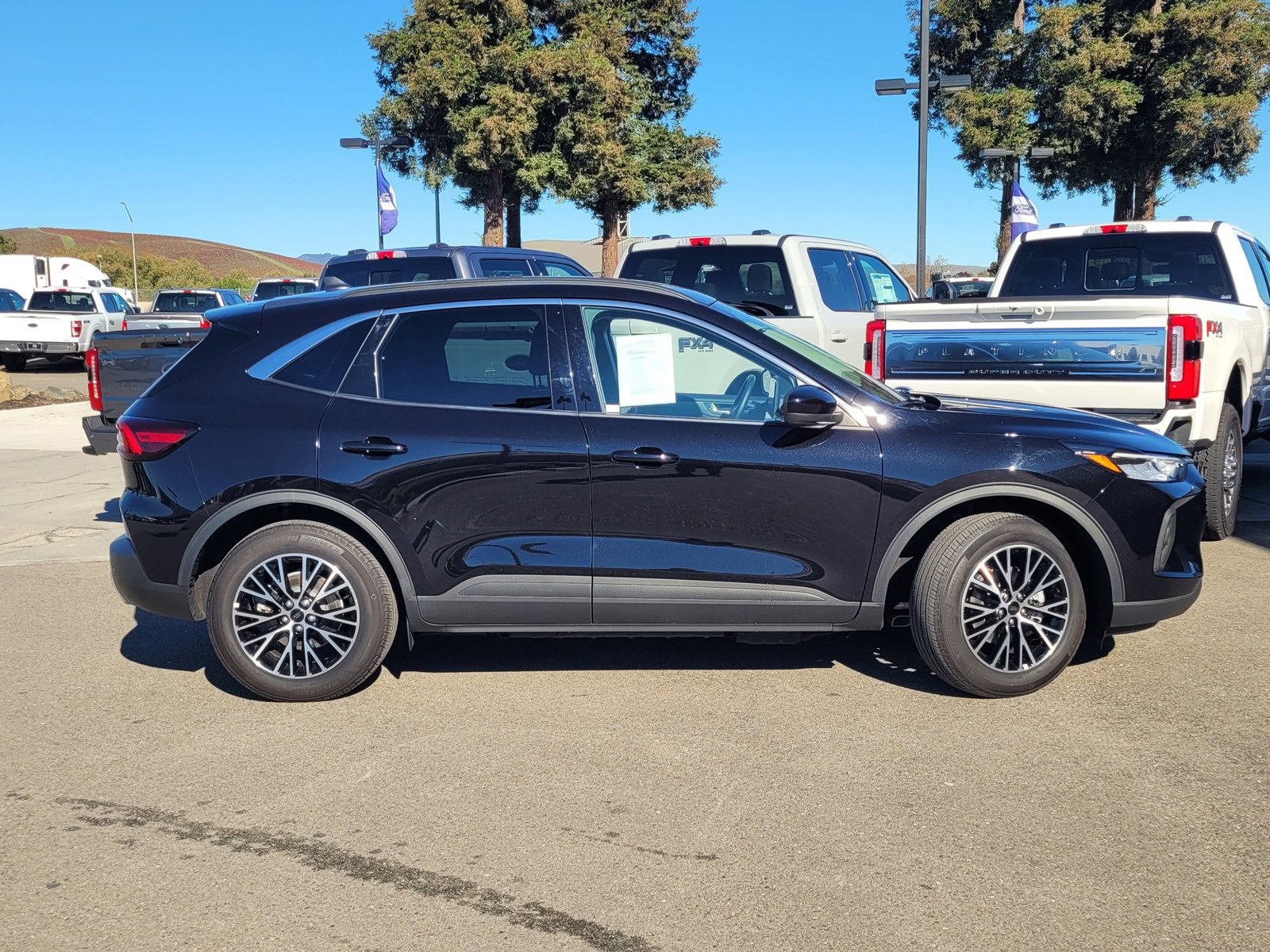 Certified 2023 Ford Escape SE image 6