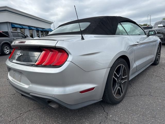 Certified 2019 Ford Mustang Premium RWD image 3