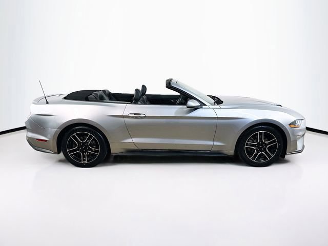 Certified 2023 Ford Mustang Premium image 8