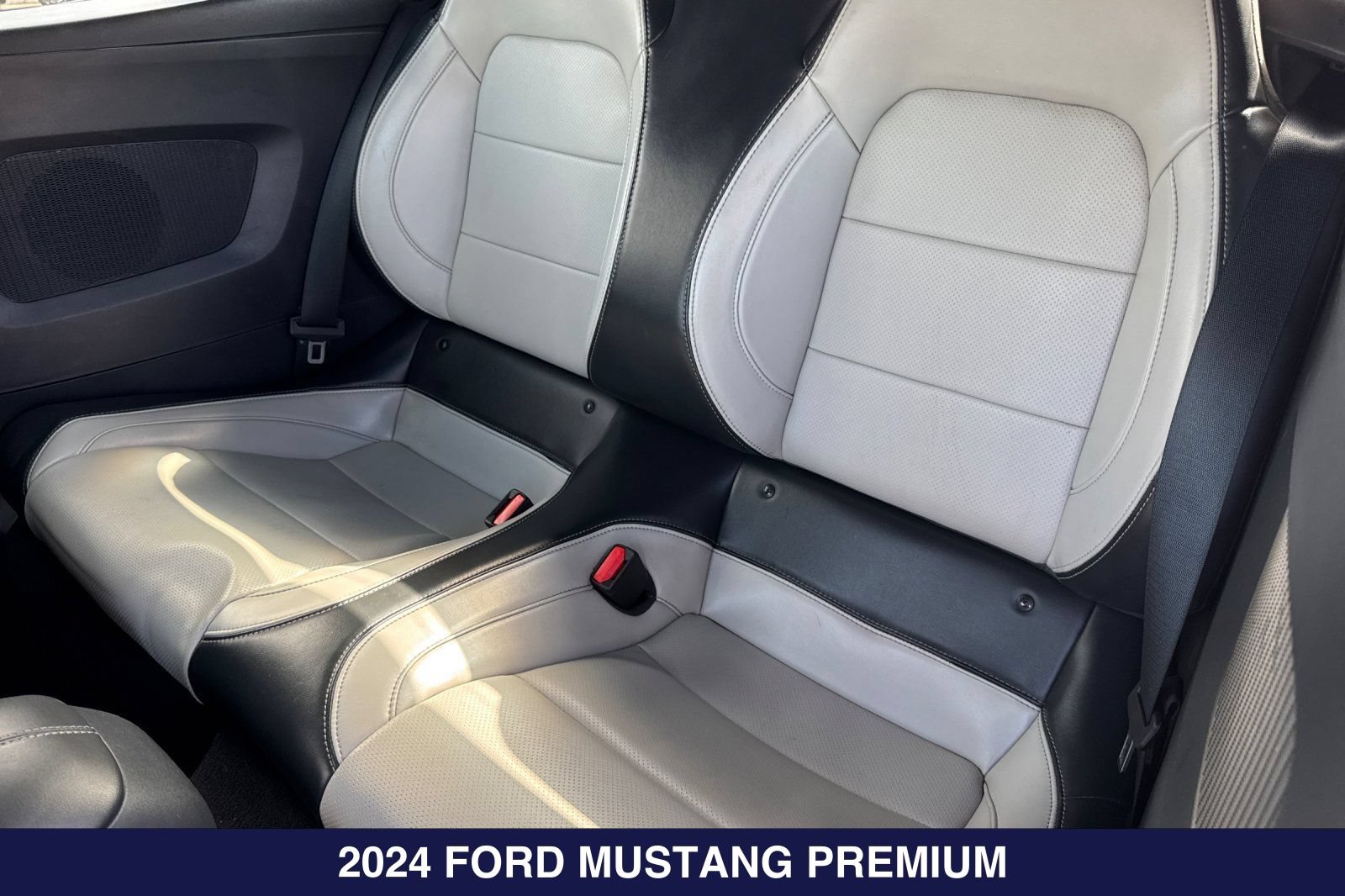 Certified 2024 Ford Mustang Premium RWD image 15