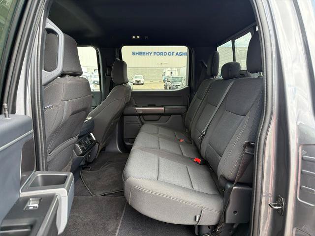 Certified 2023 Ford F150 XLT w/ Equipment Group 302A High AWD/4WD image 19